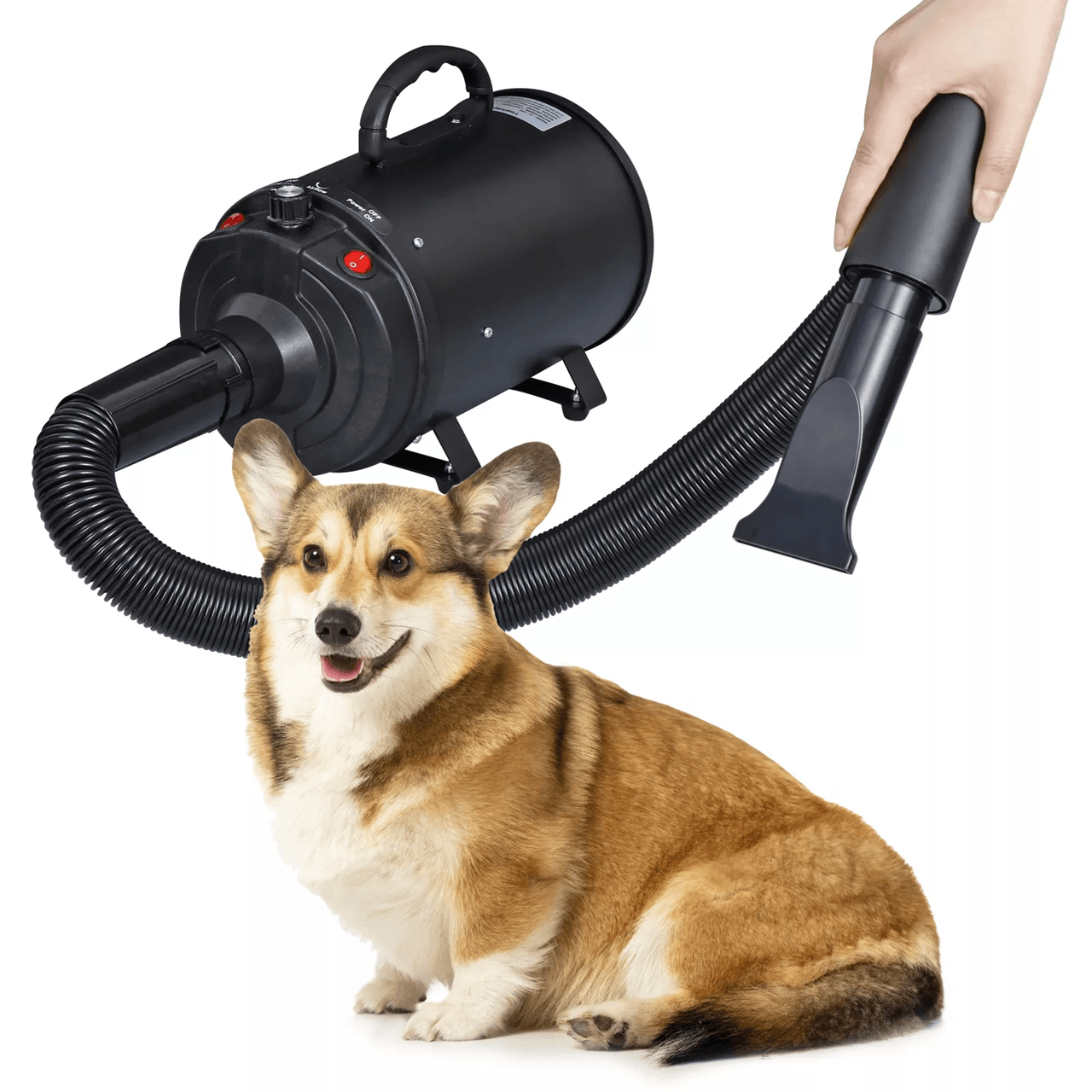 FastDry Pro Pet Hair Dryer With Adjustable Heat And 3 Nozzles 9