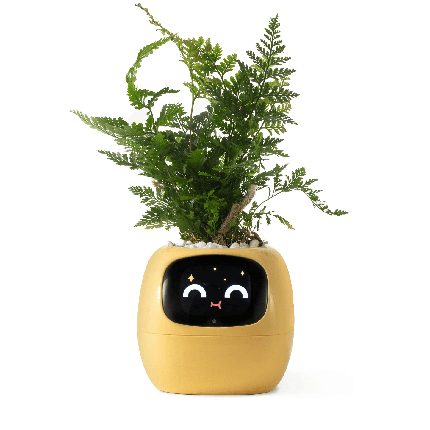 Ivy Smart Plant Pot With AI Sensors And 49 Facial Expressions For Easy Indoor Gardening 10