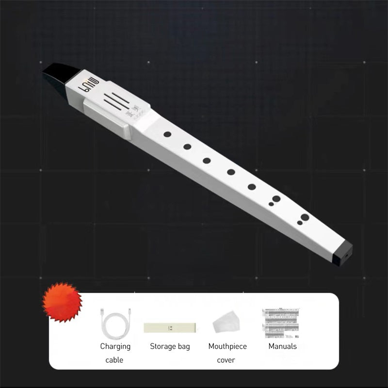 Pocket Digital Electronic Wind Instrument Mini Pocket Saxophone Wind Instrument with 10 Tones, Clarinet, Flute
