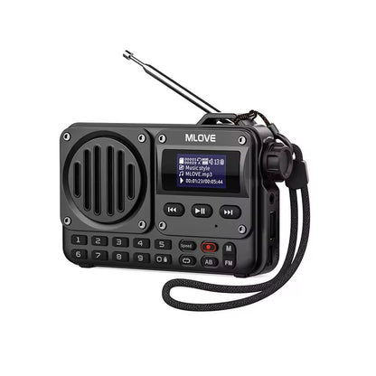 Portable Bluetooth Speaker with LCD Screen and FM Radio