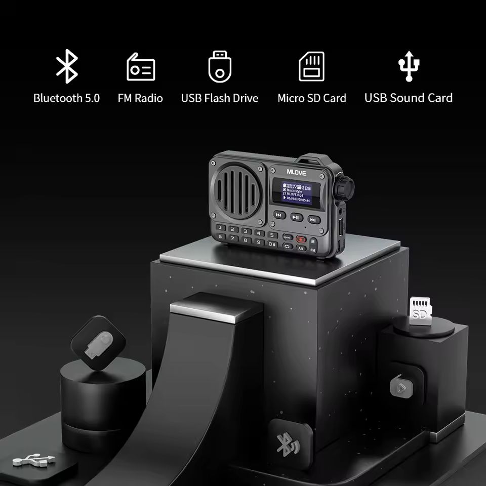 Portable Bluetooth Speaker With LCD Screen And FM Radio 3