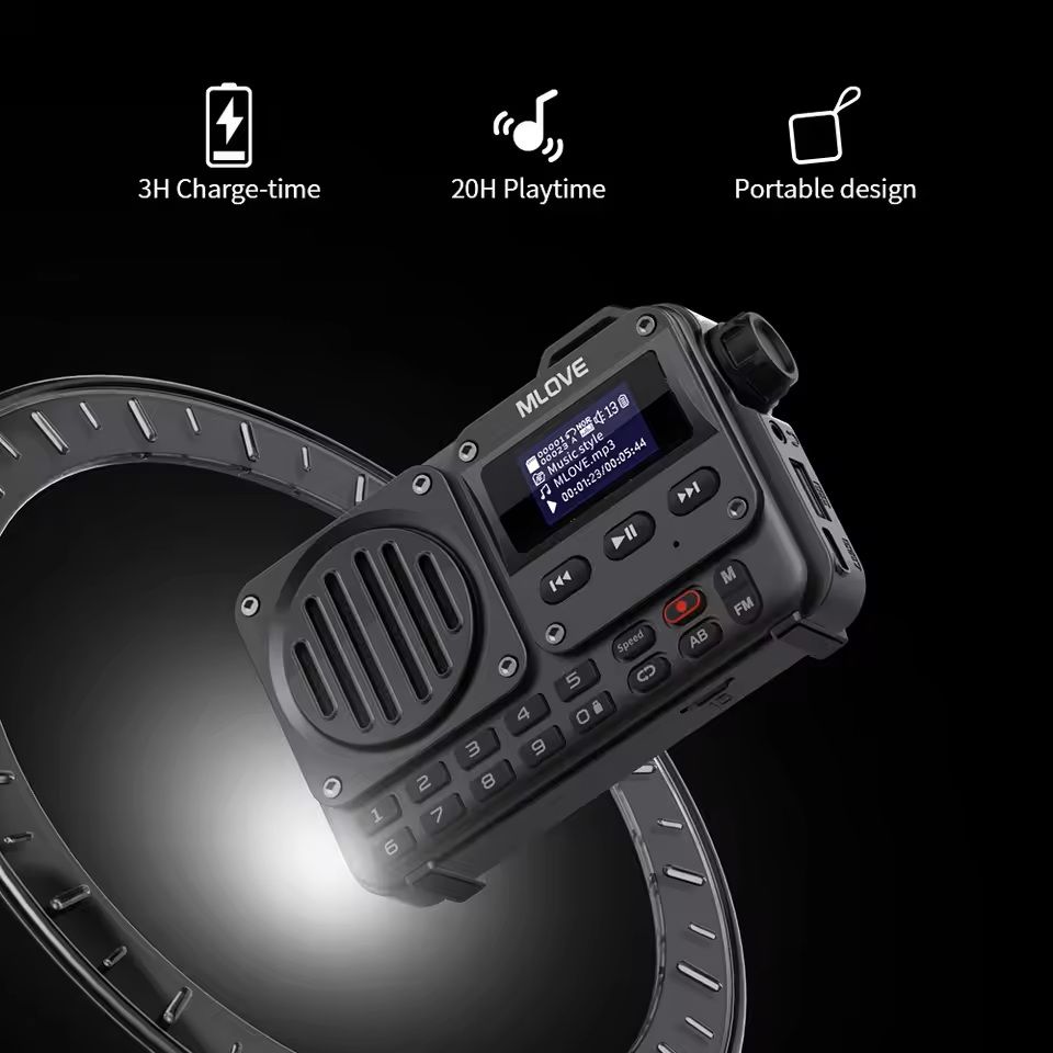 Portable Bluetooth Speaker With LCD Screen And FM Radio 5