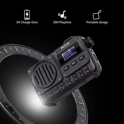 Portable Bluetooth Speaker With LCD Screen And FM Radio 5
