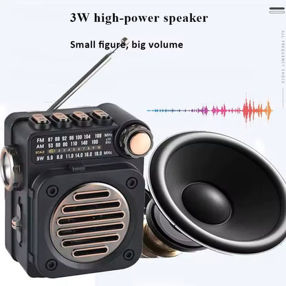 Portable Bluetooth Radio with FM AM SW and LED Flashlight