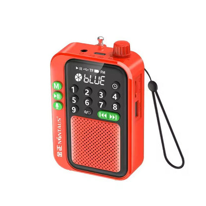 Mini Portable FM Radio Bluetooth Speaker With MP3 Player 9