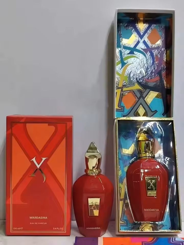Luxury Perfume Spray Bottle 100ml LongLasting Scent For Men And Women 11
