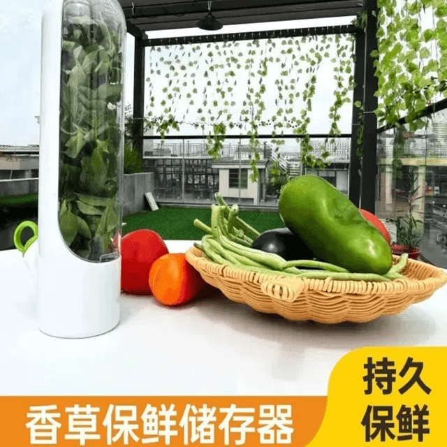 Vegetable Storage Container with Lid for Refrigerator Organization and Freshness