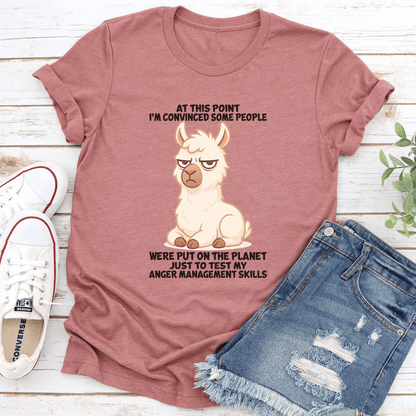 At This Point Im Convinced Some People Were Put On The Planet Tee 3