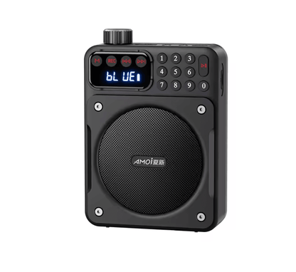 Mini Digital FM Radio Speaker with Bluetooth 5.3 USB TF Card Slot and Voice Amplifier