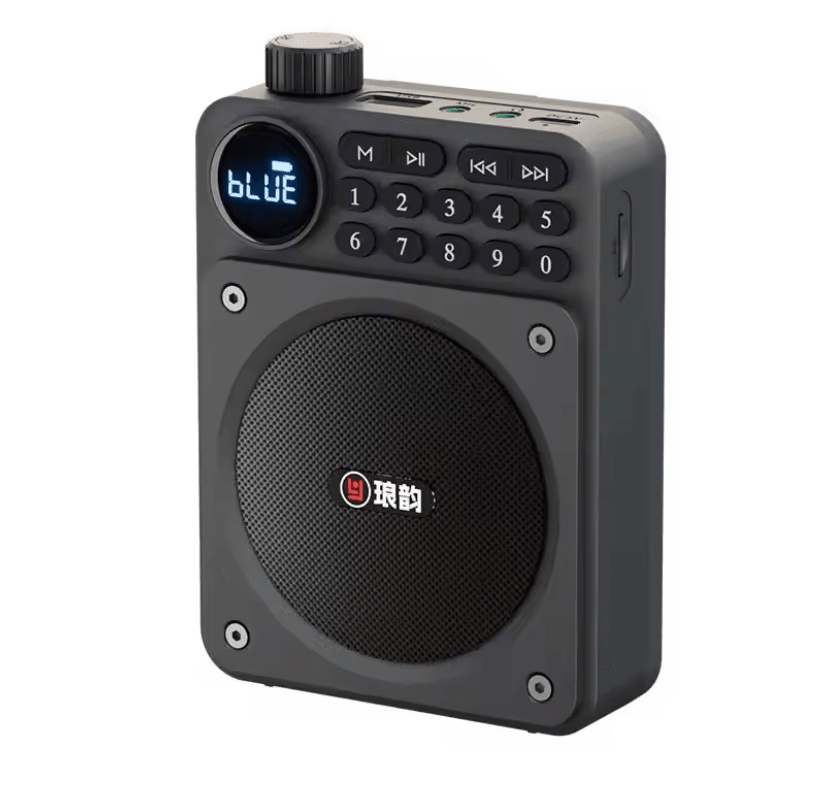 Mini Digital FM Radio Speaker With Bluetooth 53 USB TF Card Slot And Voice Amplifier 3