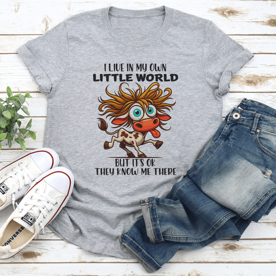 I Live In My Own Little World Tee  2