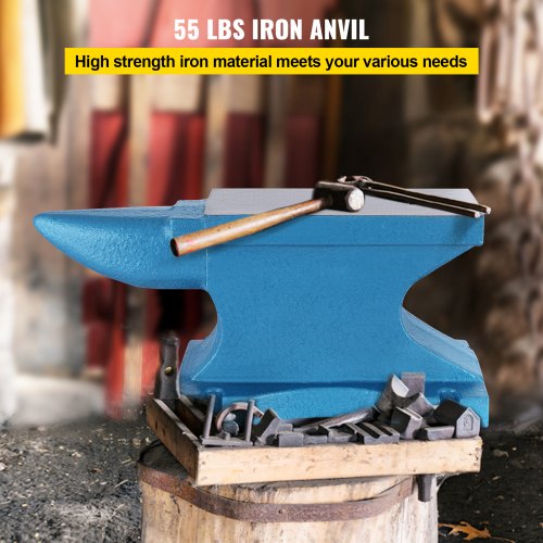 55lb Blacksmith Anvil with Rugged Round Horn, Professional Cast Iron Anvil for Jewelers, Metalsmiths & Forge Tools