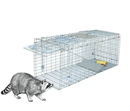 Heavy Duty Live Animal Trap Cage For Raccoons Skunks And Small Wildlife 3