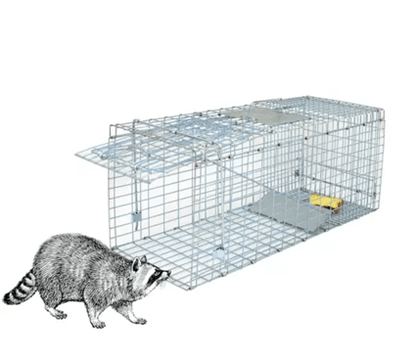 Heavy Duty Live Animal Trap Cage For Raccoons Skunks And Small Wildlife 3