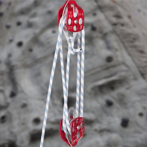 HeavyDuty Twin Sheave Block  Tackle 100FT Double Braid Rope 7700LB Capacity 3035KN Double Pulley Ri 1