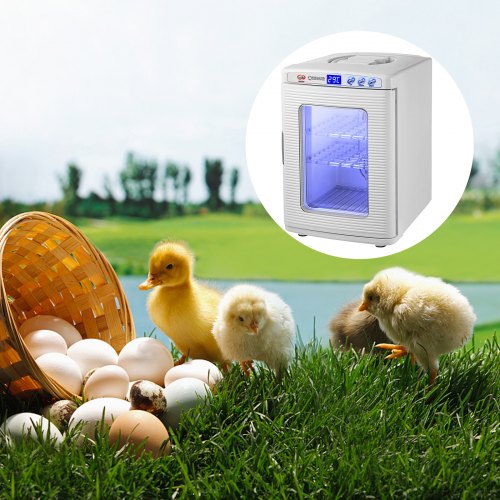 25L Scientific Lab Incubator, Digital Cooling & Heating (5-42°C) Reptile Egg Incubator for Poultry & Reptiles