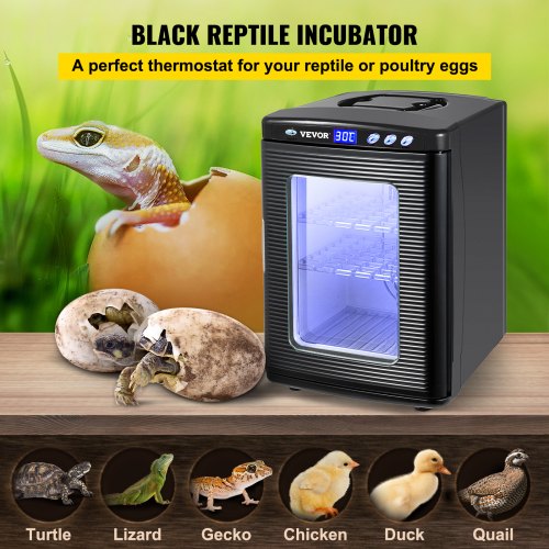 Reptile Egg Incubator 25L Digital Scientific Hatcher With Precise Temperature Control 542C 12V110V  2