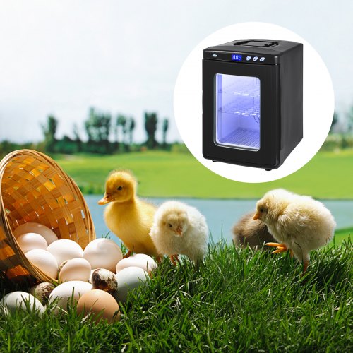 Reptile Egg Incubator 25L Digital Scientific Hatcher With Precise Temperature Control 542C 12V110V  1