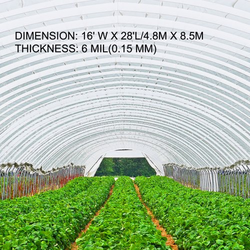 Clear Greenhouse Polyethylene Film Mil, Greenhouse Plastic Cover, UV Resistant Greenhouse Film with Superior Toughness