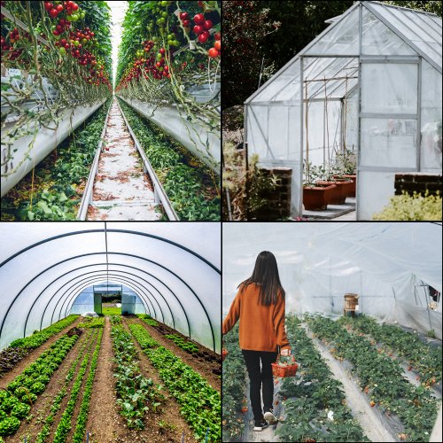 Greenhouse Polyethylene Film Mil, Clear Plastic UV Resistant Cover for Greenhouses, Superior Strength & Toughness