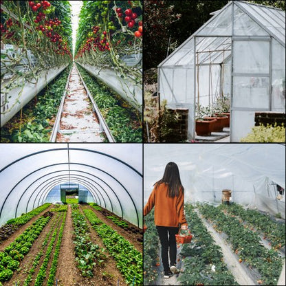 Greenhouse Polyethylene Film Mil, Clear Plastic Cover with UV Resistance, Tear-Proof Strength & Weather Protection