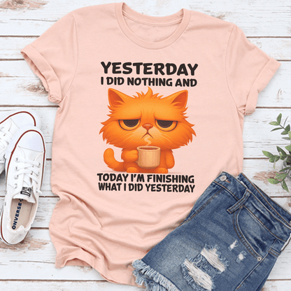 Yesterday I Did Nothing And Today Tee