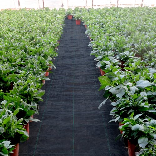 58oz Landscape Fabric 4ft X 300ft Heavy Duty Woven Weed Barrier ProfessionalGrade Geotextile For Ga 1
