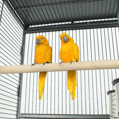 61 Inch Large Bird Cage With Play Top And Stand For Parrots Parakeets Finches And Small Birds 7