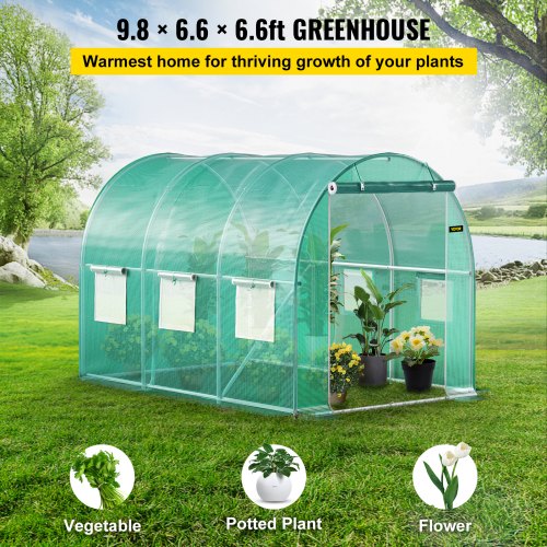 WalkIn Greenhouse 98 X 66 X 66 Ft Waterproof PE Cover Sturdy Galvanized Frame  6 Mesh Windows 2