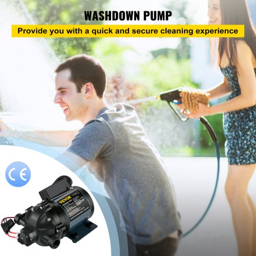DC Washdown Pump, GPM PSI Self Priming Water Pump w/ EPDM Valve & Salt Water Strainer, for RV, Boat, Marine Deck & Yacht