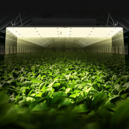 Samsung Diodes LED Grow Light Greenhouse Growing Full Spectrum Dimmable Lamp For Indoor Plants Veg  5