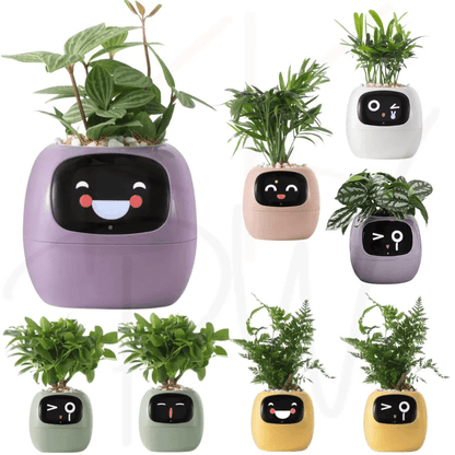 Ivy Smart Plant Pot with AI Sensors and 49 Facial Expressions for Easy Indoor Gardening