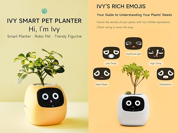 Ivy Smart Plant Pot With AI Sensors And 49 Facial Expressions For Easy Indoor Gardening 2