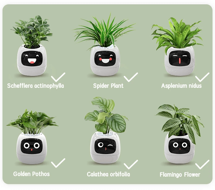 Ivy Smart Plant Pot With AI Sensors And 49 Facial Expressions For Easy Indoor Gardening 3