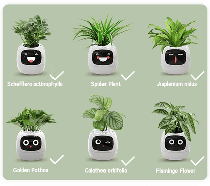 Ivy Smart Plant Pot With AI Sensors And 49 Facial Expressions For Easy Indoor Gardening 3