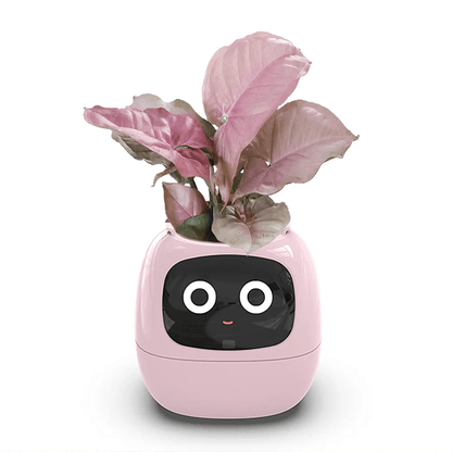 Ivy Smart Plant Pot With AI Sensors And 49 Facial Expressions For Easy Indoor Gardening 9