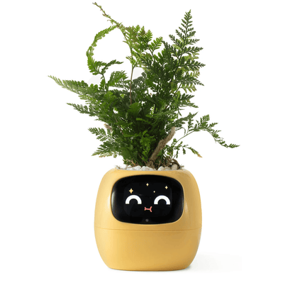 Ivy Smart Plant Pot With AI Sensors And 49 Facial Expressions For Easy Indoor Gardening 10