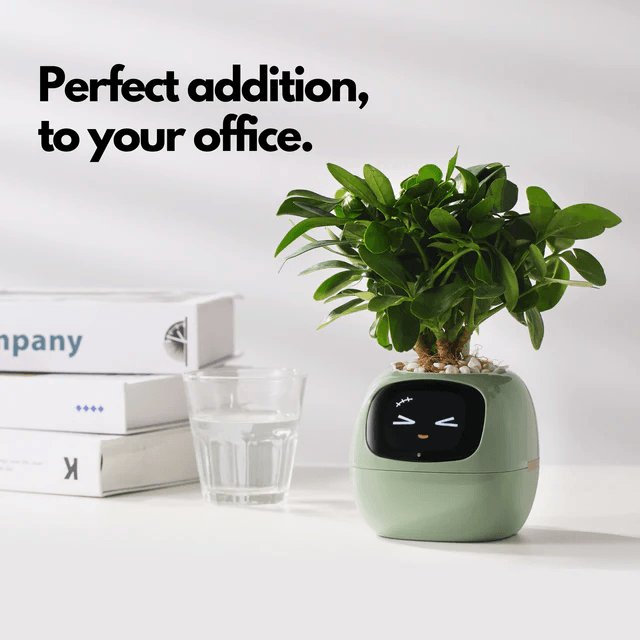 Ivy Smart Plant Pot With AI Sensors And 49 Facial Expressions For Easy Indoor Gardening 5