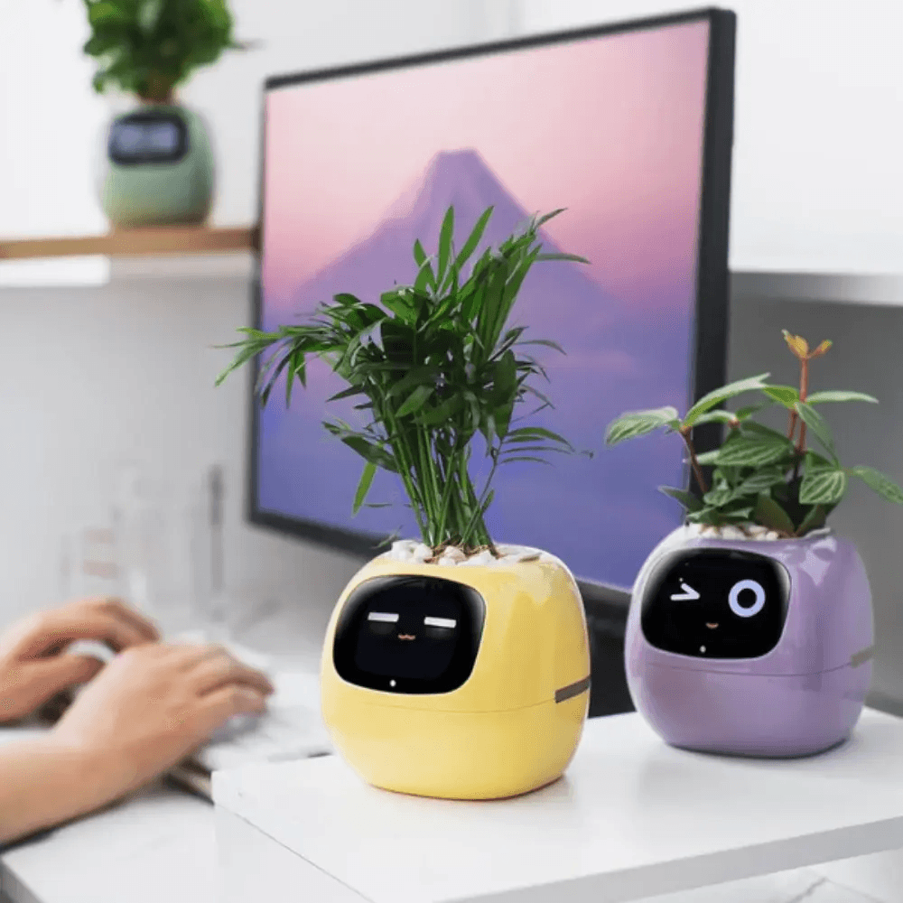 Ivy Smart Plant Pot With AI Sensors And 49 Facial Expressions For Easy Indoor Gardening 4