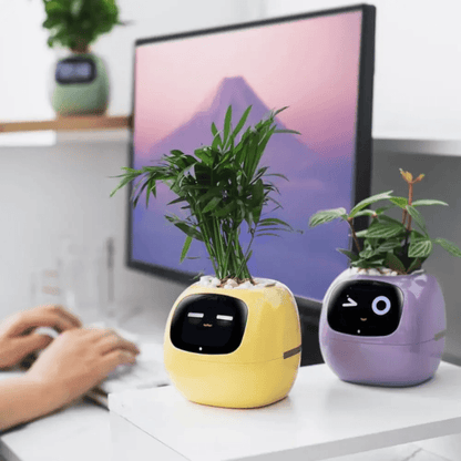 Ivy Smart Plant Pot With AI Sensors And 49 Facial Expressions For Easy Indoor Gardening 4