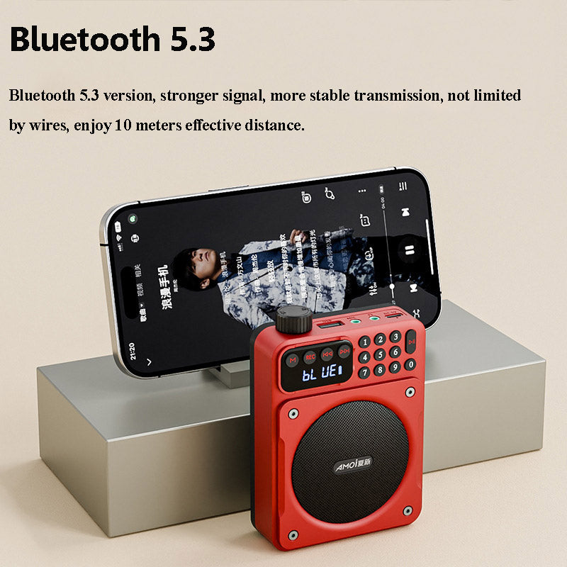 Mini Digital FM Radio HD Display Bluetooth Speaker Portable Voice Amplifier with USB TF Card Slot & Removable Battery
