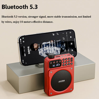 Mini Digital FM Radio HD Display Bluetooth Speaker Portable Voice Amplifier with USB TF Card Slot & Removable Battery