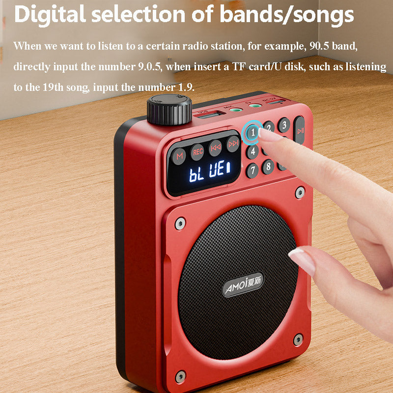 Mini Digital FM Radio HD Display Bluetooth Speaker Portable Voice Amplifier with USB TF Card Slot & Removable Battery
