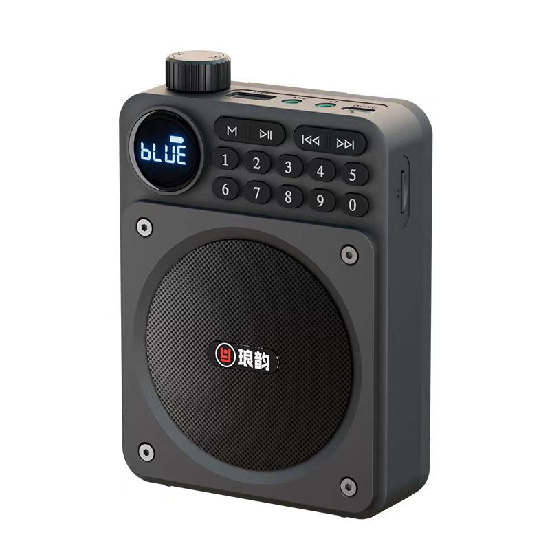 Mini Digital FM Radio HD Display Bluetooth Speaker Portable Voice Amplifier with USB TF Card Slot & Removable Battery