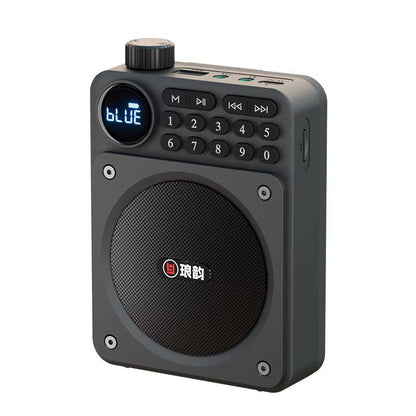 Mini Digital FM Radio HD Display Bluetooth Speaker Portable Voice Amplifier with USB TF Card Slot & Removable Battery