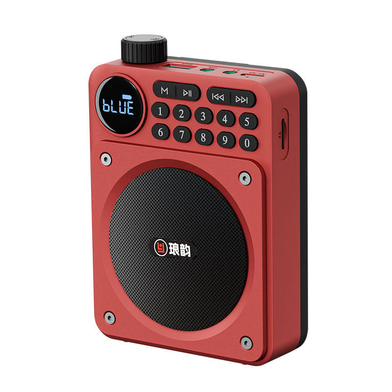 Mini Digital FM Radio HD Display Bluetooth Speaker Portable Voice Amplifier with USB TF Card Slot & Removable Battery