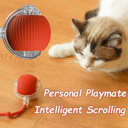 Interactive Cat Ball Toy Rechargeable Smart Rolling With Faux Tail 2
