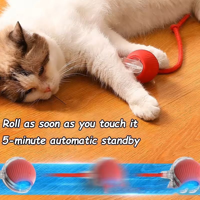 Interactive Cat Ball Toy Rechargeable Smart Rolling With Faux Tail 3