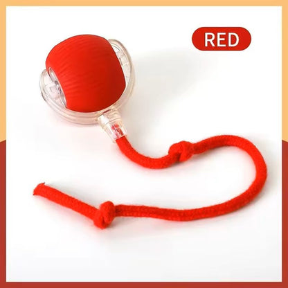 Interactive Cat Ball Toy Rechargeable Smart Rolling With Faux Tail 7