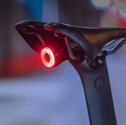 ROCKBROS Smart Bike Brake Light With Auto Sensing And Waterproof LED Rear Light For Cycling Safety 2